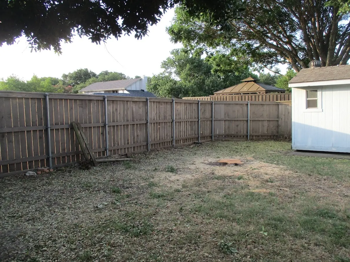 Cleared yard after professional tree removal in Bat Cave
